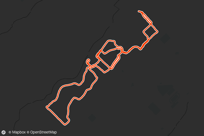 A 5 mile loop during my back-to-back 1:1 phone calls