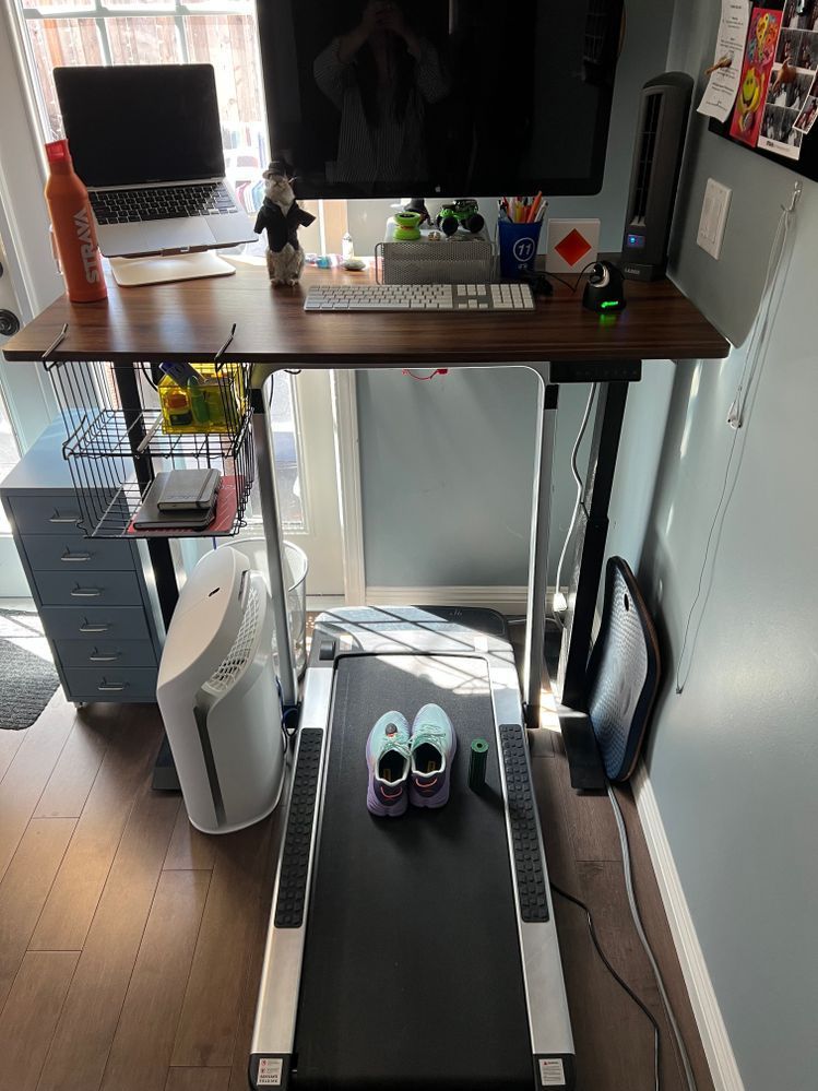 Standing desk + Treadmill