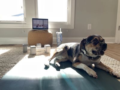 Here we have Milo supervising his human's workout.  He is a Puggle living in Charlotte, North Carolina.  Like some other pups, his favorite Strava feature is adding photos and videos to Strava activities, because he loves to be featured!