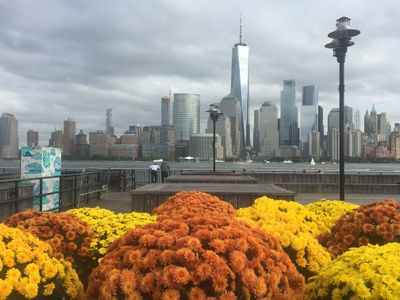 Views of lower Manhattan