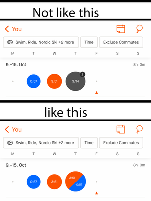 Strava example.png